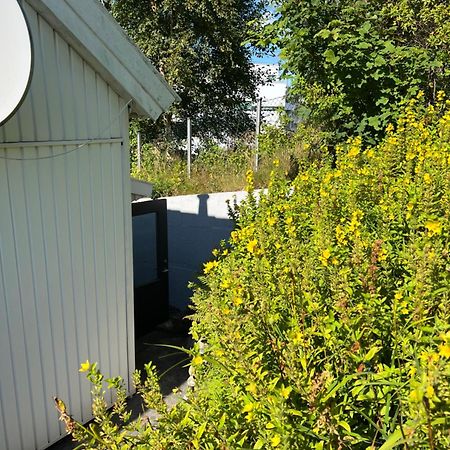 Lite Hus Med Egen Inngang - Sentral Beliggenhet ハウゲスン エクステリア 写真
