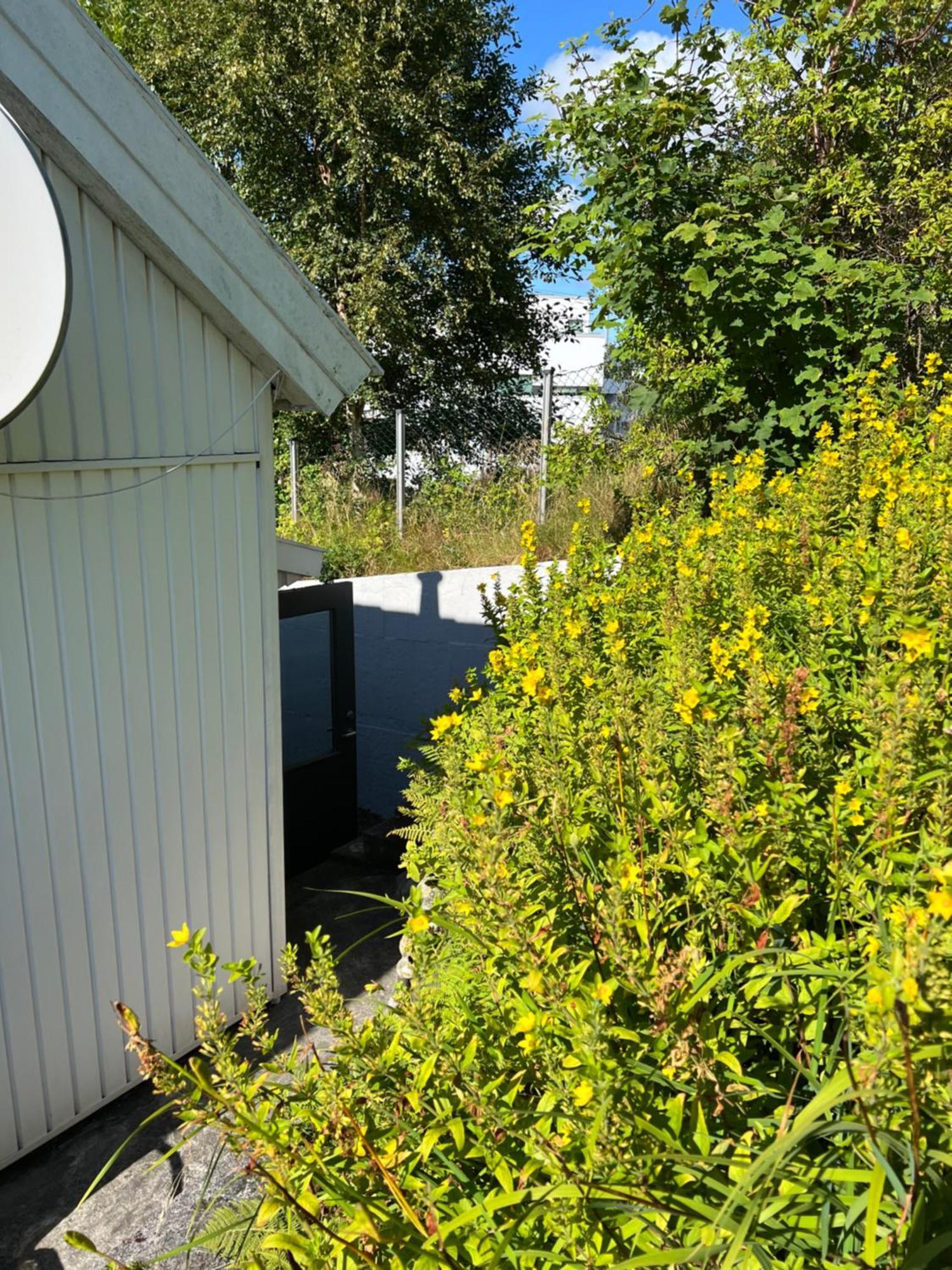 Lite Hus Med Egen Inngang - Sentral Beliggenhet ハウゲスン エクステリア 写真
